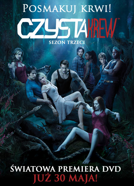 CZYSTA KREW DVD